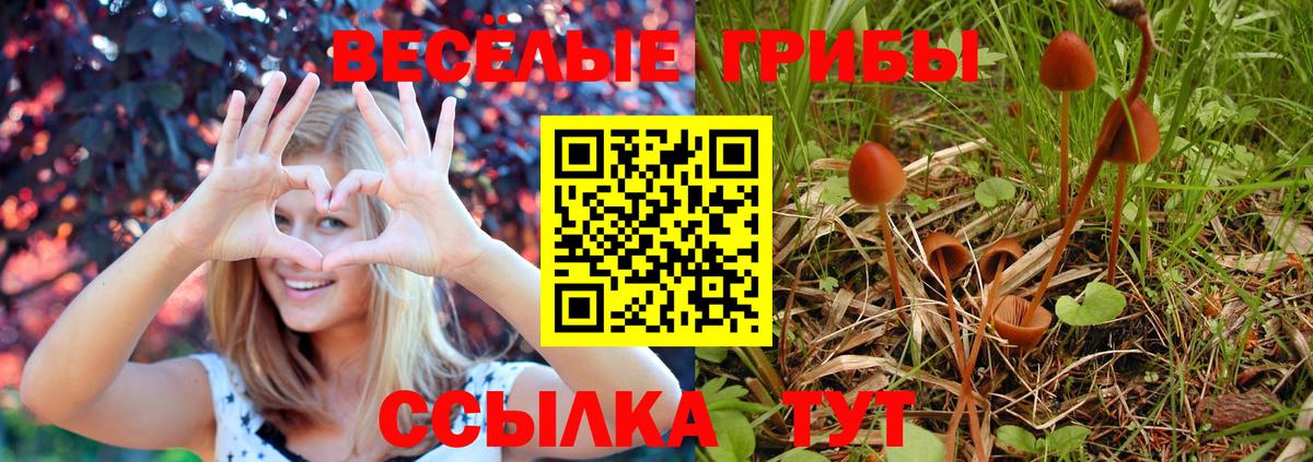 Галлюциногенные грибы прущие грибы  Вход с VPN  Дальнереченск 